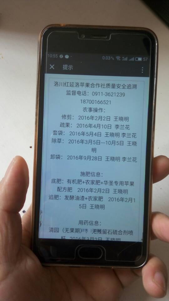 洛川苹果二维码