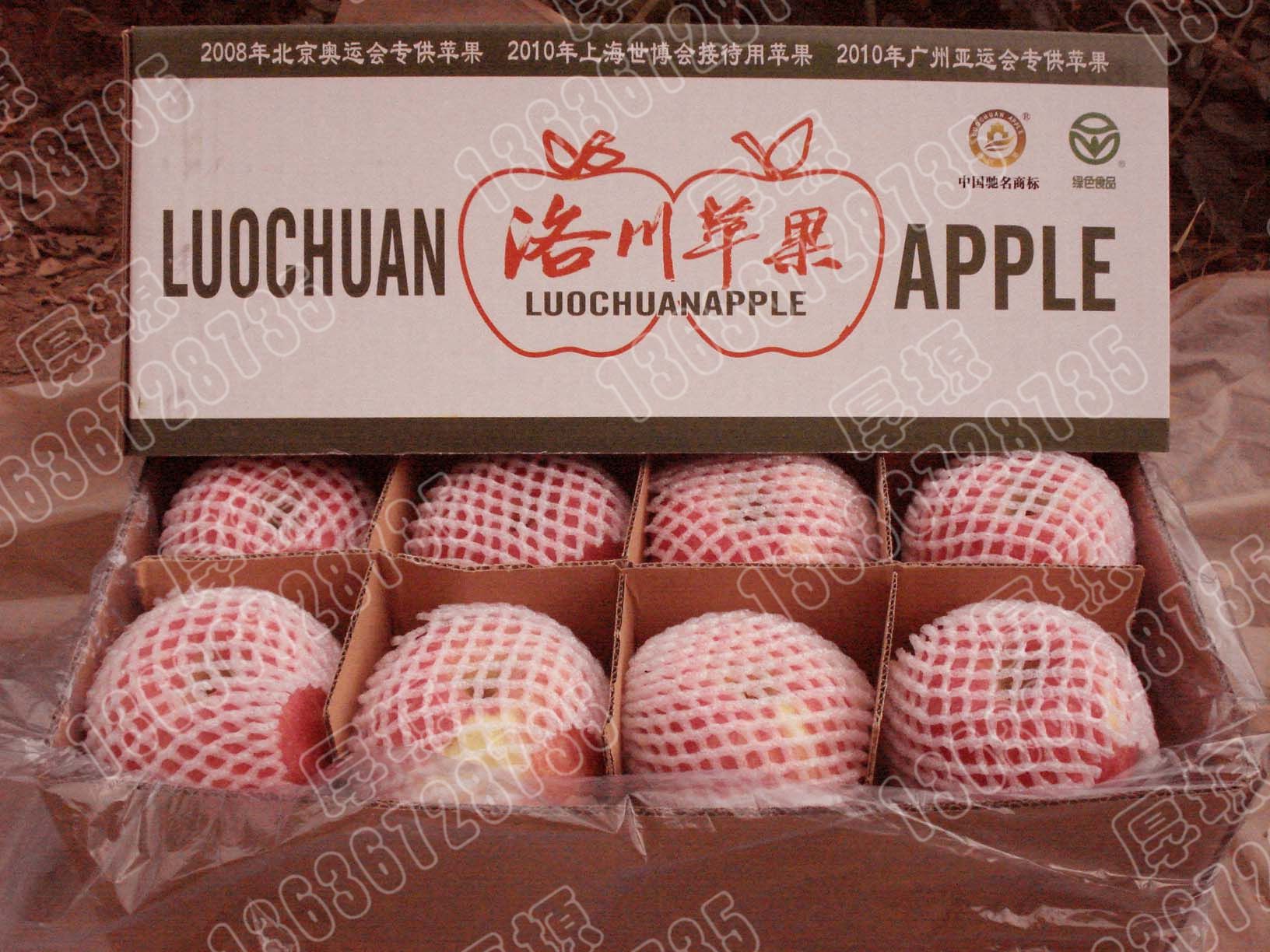 洛川苹果，红富士苹果24头装  