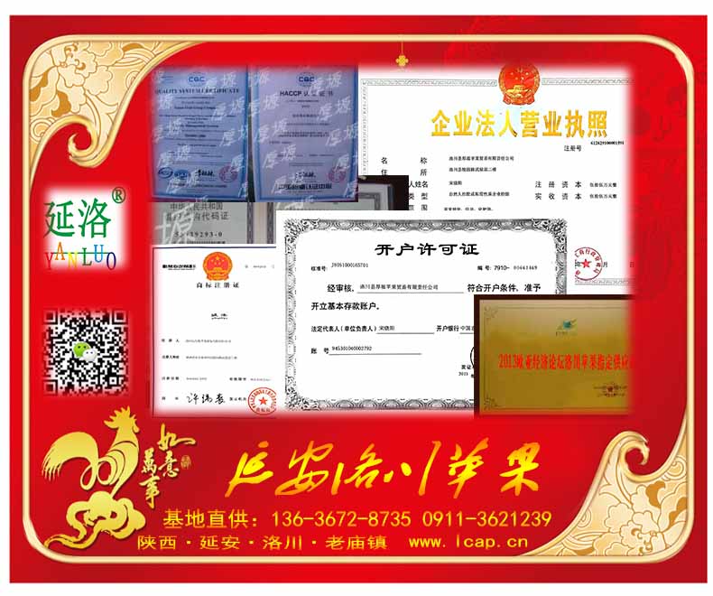 洛川苹果为什么好吃?